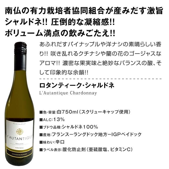 白ワイン セット フランス イタリア スペイン 12本 wine set 750ml