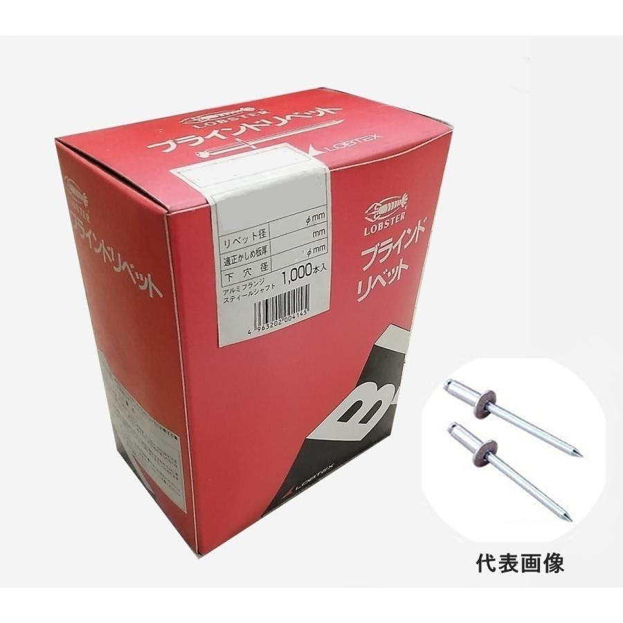 在庫処分特価！ロブテックス NSS5-6 ブラインドリベット(丸頭
