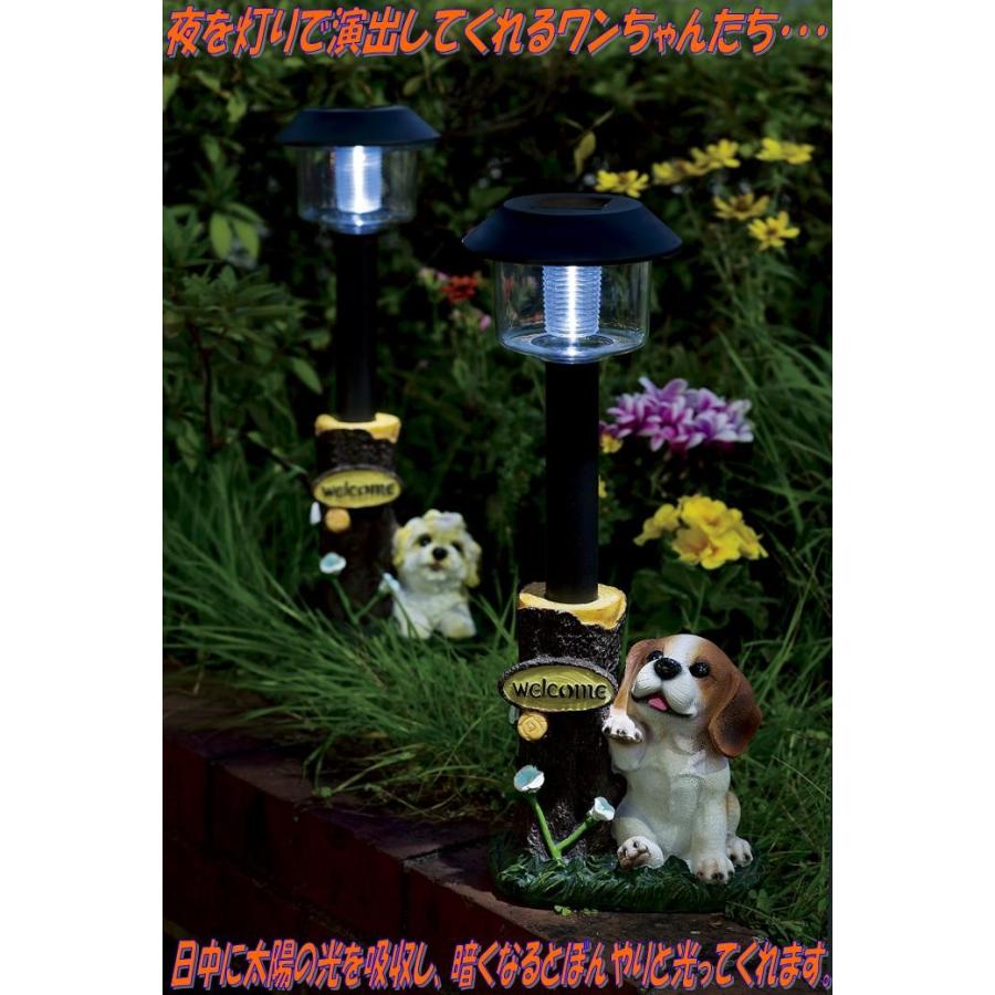 エイチツーオー H2297 子犬付ソーラーライト ビーグル H 2297 メーカー直送 代引 同梱不可 ガーデンライト 園芸置物 074 Kcmオンラインショップ 通販 Yahoo ショッピング