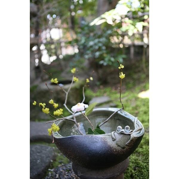 信楽焼 543-05 蛙付めだか鉢【メーカー直送】【同梱/代引不可