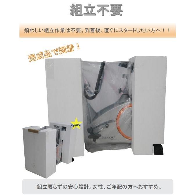 DK-8601P アップライトバイク（電動負荷方式） 家庭用 組立不要 送料無料(北海道・沖縄・離島を除く)メーカー直送 代引/同梱不可 フィットネスバイクの画像
