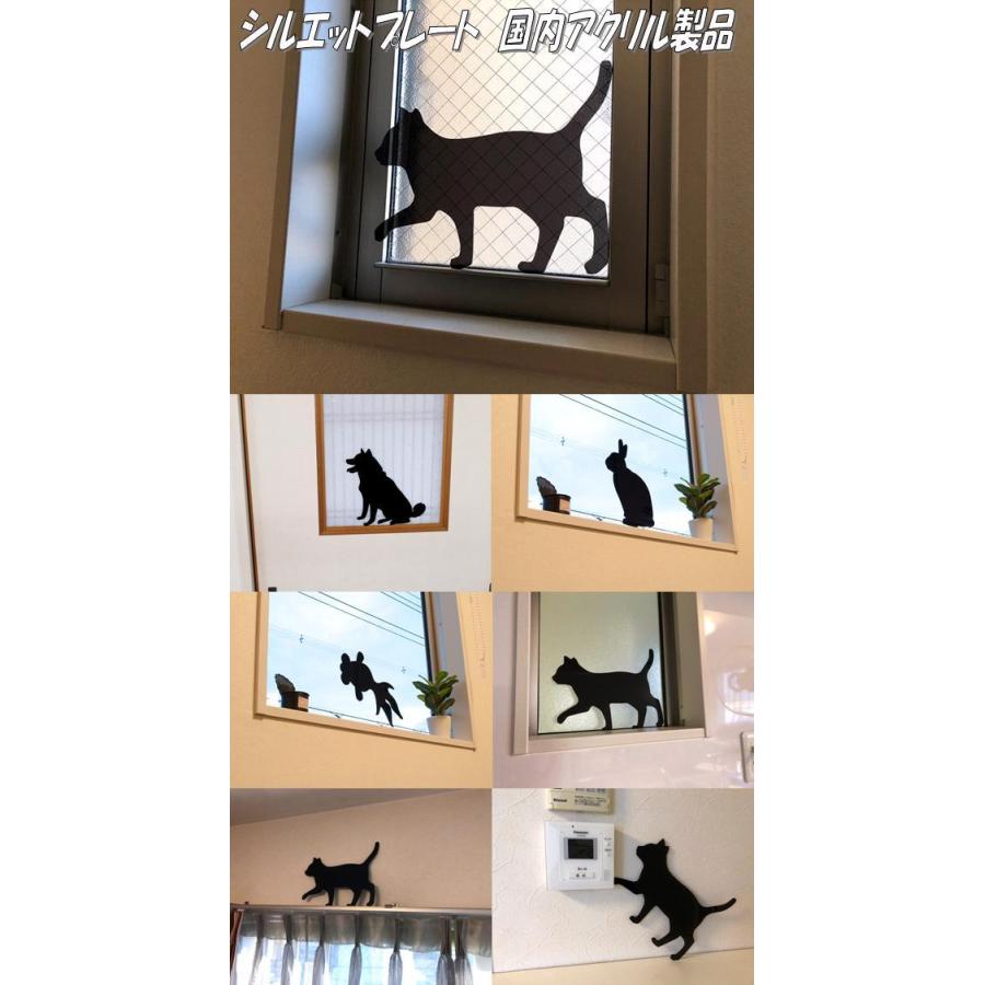 ファッションプレート全集 5巻セット ファッションプレート全集 5巻セット Amazon.co.jp