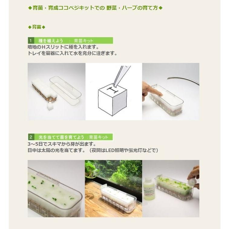 リビングファーム Lfs 027 ココベジキットシリーズ パクチーの種子付き 水耕栽培 苗作りキット メーカー直送 代引き 同梱包不可 栽培セット 862 Lfs 027 Kcmオンラインショップ 通販 Yahoo ショッピング
