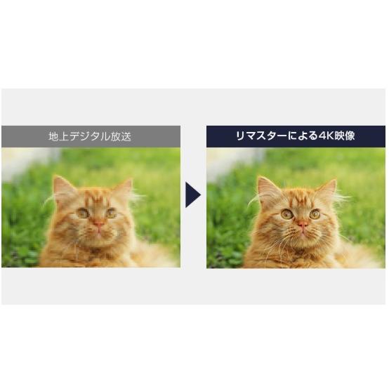 fire tv搭載 4K液晶テレビ FL-43UF370 新品未使用品 新品 Funai FireTV FL-43UF370 43V型 4K液晶テレビ Alexa対応 ブラック