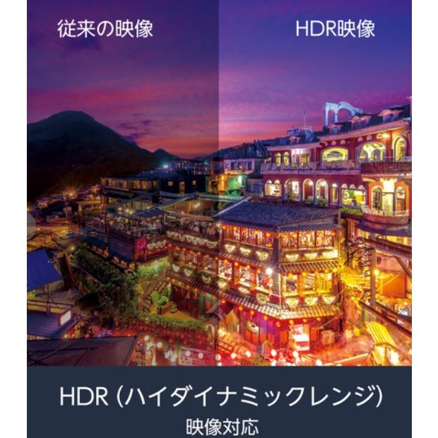 新品 Funai FireTV FL-43UF370 43V型 4K液晶テレビ Alexa対応 ブラック