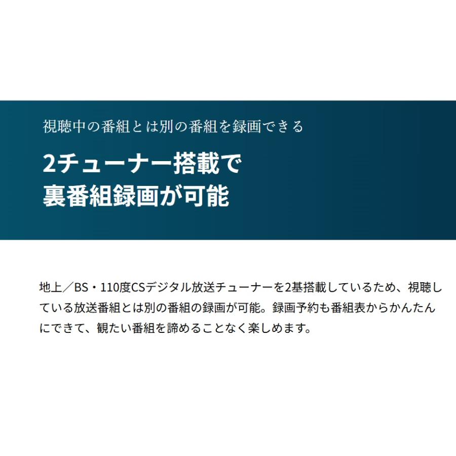FUNAI（フナイ） 新品 FUNAI FL-24H2060 ハードディスク内蔵 1TB 地上