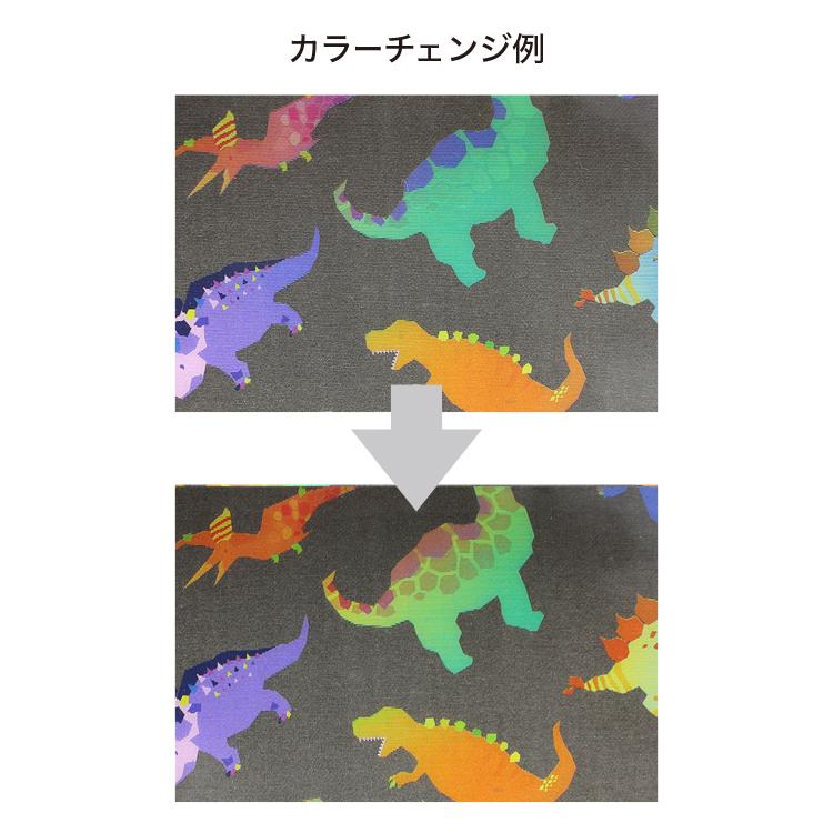メール便2個以上送料無料 角度によって色が変わる ポケットポーチ