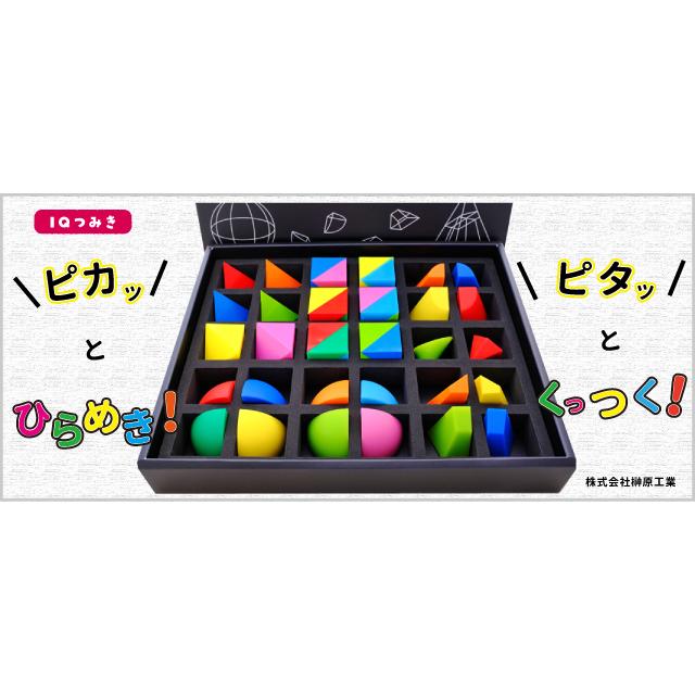 IQつみき 知育玩具 アイキュー 積み木 お受験 安全な知育玩具 右脳