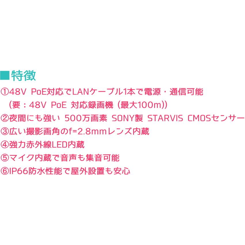 アナログ屋外用ハイエンド防犯カメラ(赤外投光器付) アナログ屋外用ハイエンド防犯カメラ(赤外投光器付) アナログ屋外用