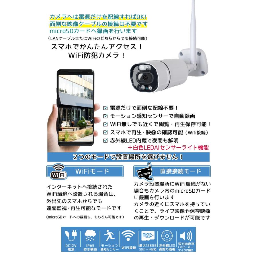 AIセンサーライト機能付 WiFi防犯カメラ 白色+赤外線LED搭載 屋外対応