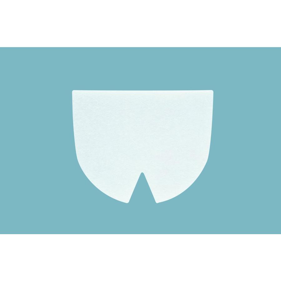 シーボンド 上歯用 18枚 | Eisai | 01