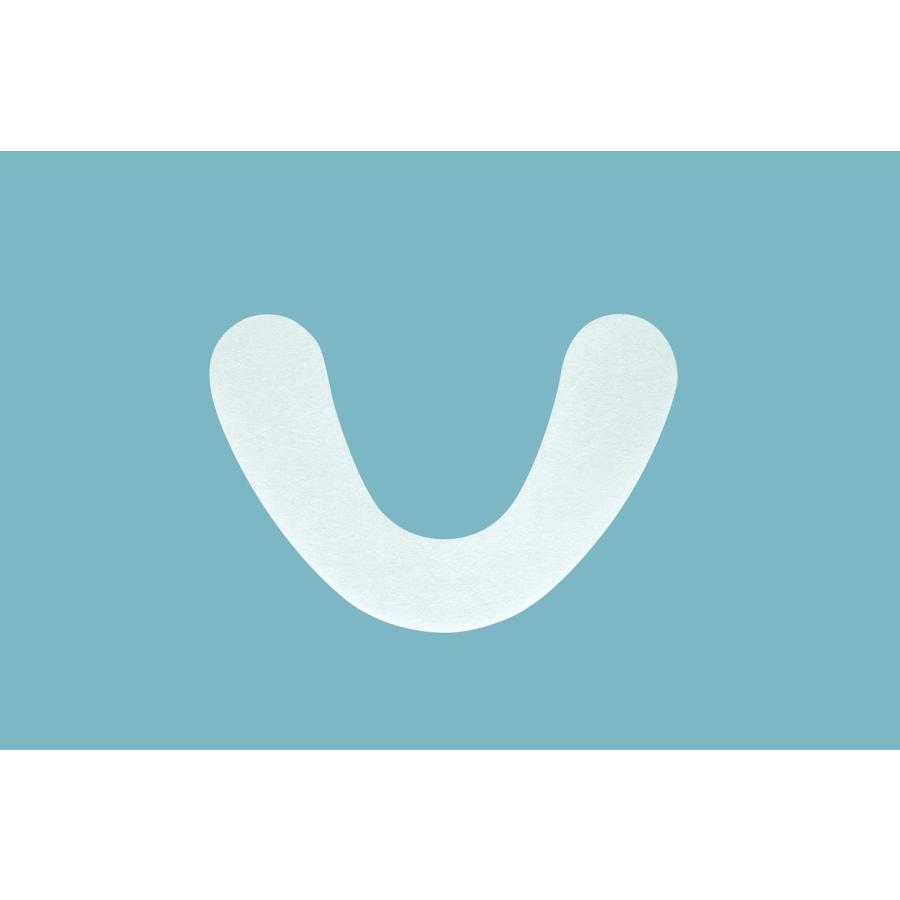 シーボンド 下歯用 18枚 | Eisai | 01