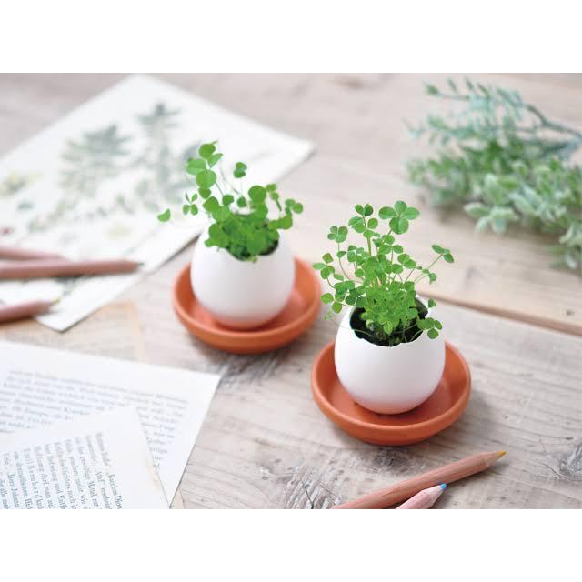 egg ling CLEAR package |  | 01
