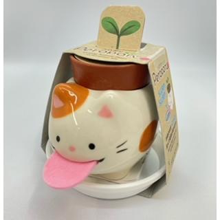 ペロポン　キャッツ　ミケネコ/ワイルドストロベリー | 