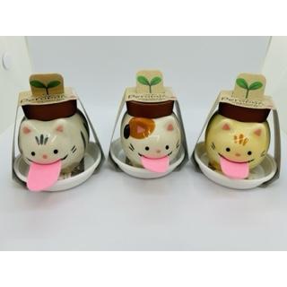 ペロポン　キャッツ　サバトラ/バジル |  | 01