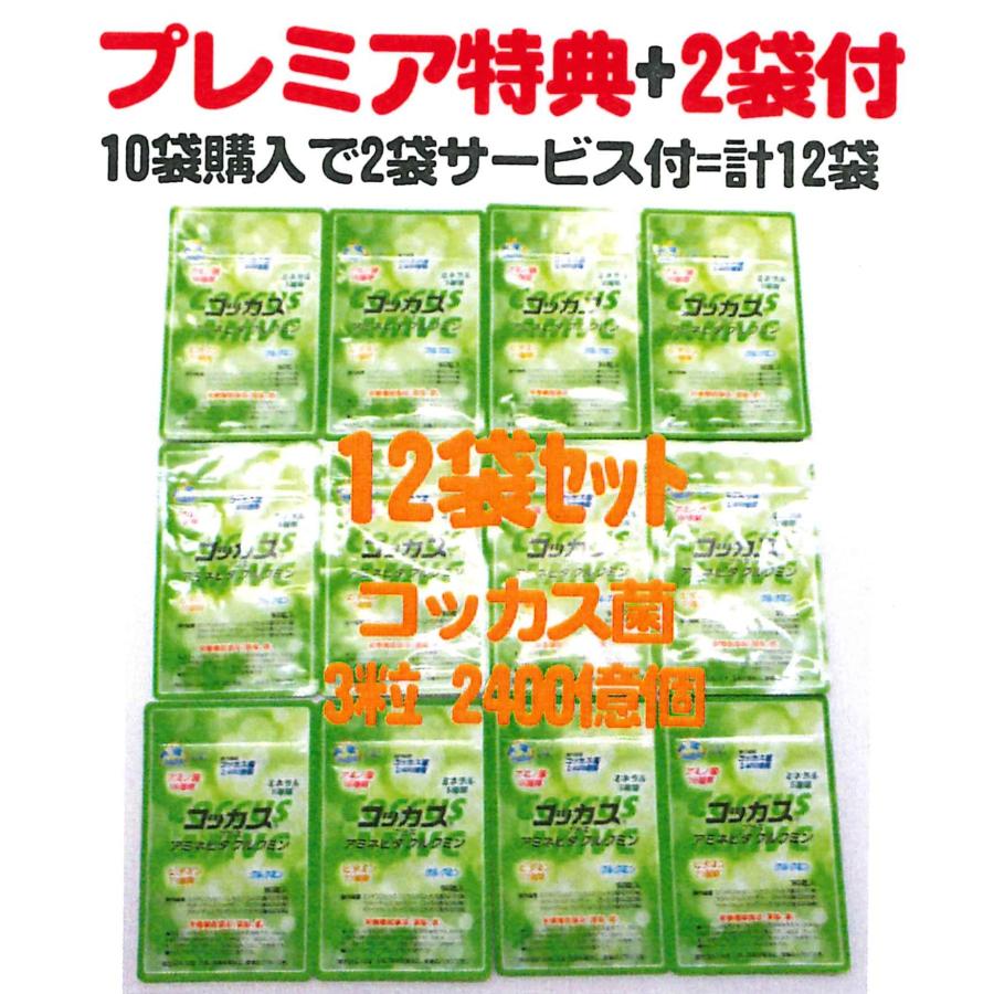 アミネビタクルクミンコッカスx10袋+特典2袋サービス付=12袋お買得品(会員特価26800↓下記)アドバンス・コッカス菌3粒2400億個 | 