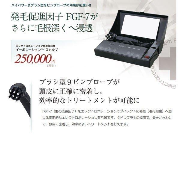 イーポレーション・スカルプ : ケィディーディーストア - 通販 - Yahoo