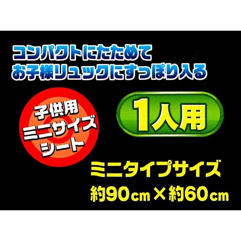 スケーター レジャーシート S ポケモン サンムーン 19 60 90cm Vs1 Asiomvhg5c レジャーシート Organilloslizana Cl
