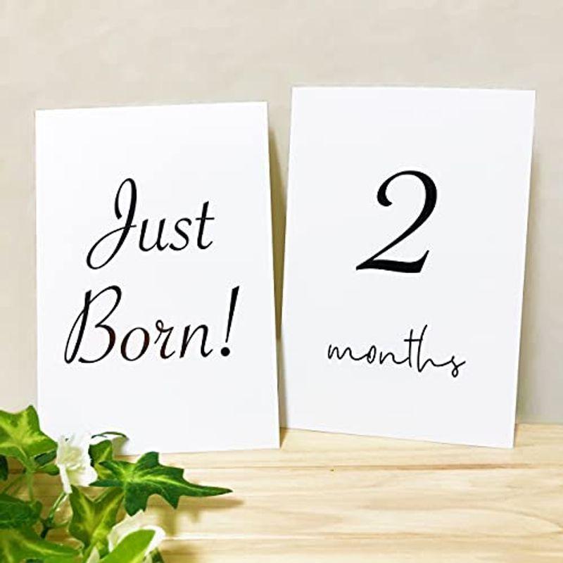 BabyCal マンスリーカード ハガキサイズ16面8枚セット 月齢フォト 月齢カード 男の子 女の子 出産祝い (シンプル