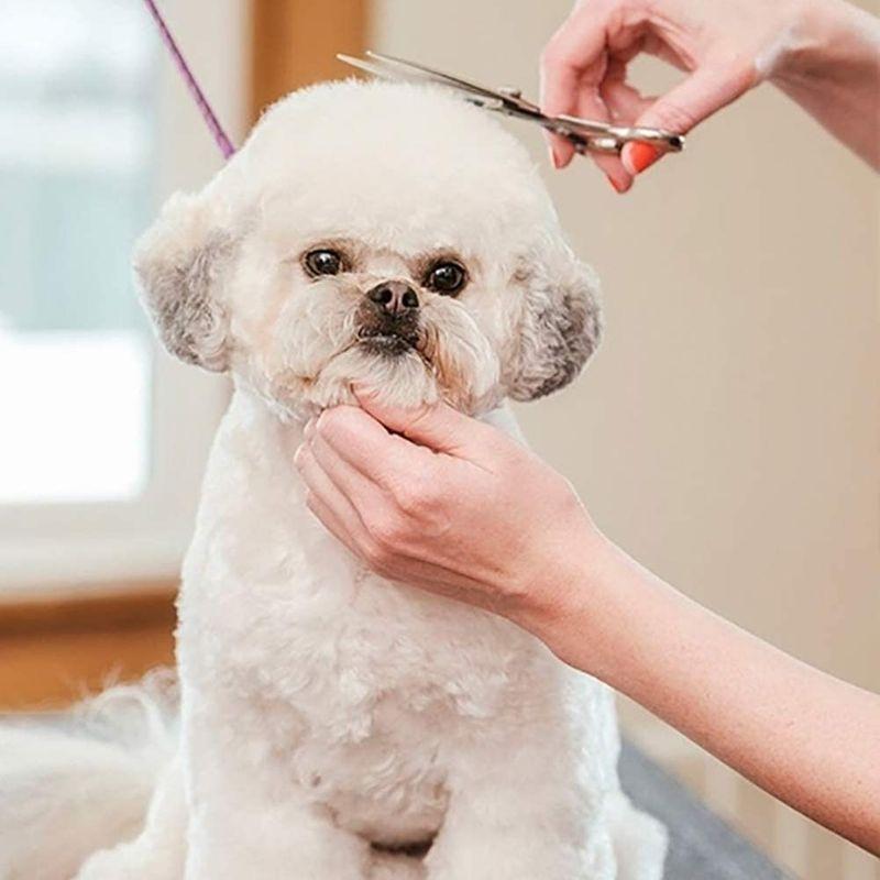 Elfishjp ペットトリミングハサミ 犬カットハサミ 犬用はさみ 猫ハサミ はさみ 猫犬 散髪用ハサミ 散髪 理髪 丸い先端 安全性高い ケーディーラインストア 通販 Yahoo ショッピング