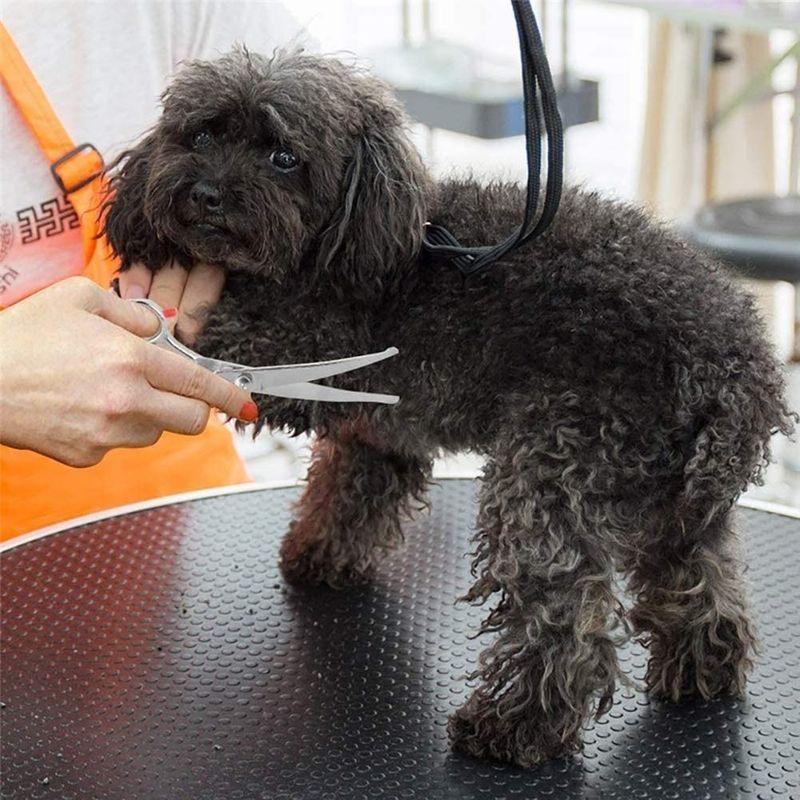 Elfishjp ペットトリミングハサミ 犬カットハサミ 犬用はさみ 猫ハサミ はさみ 猫犬 散髪用ハサミ 散髪 理髪 丸い先端 安全性高い ケーディーラインストア 通販 Yahoo ショッピング