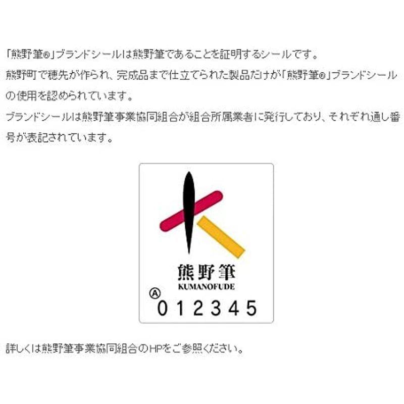 CHIKUHODO 熊野筆(化粧筆) 竹宝堂 パウダーブラシ 灰リス/粗光峰 G-8 メイクブラシ 