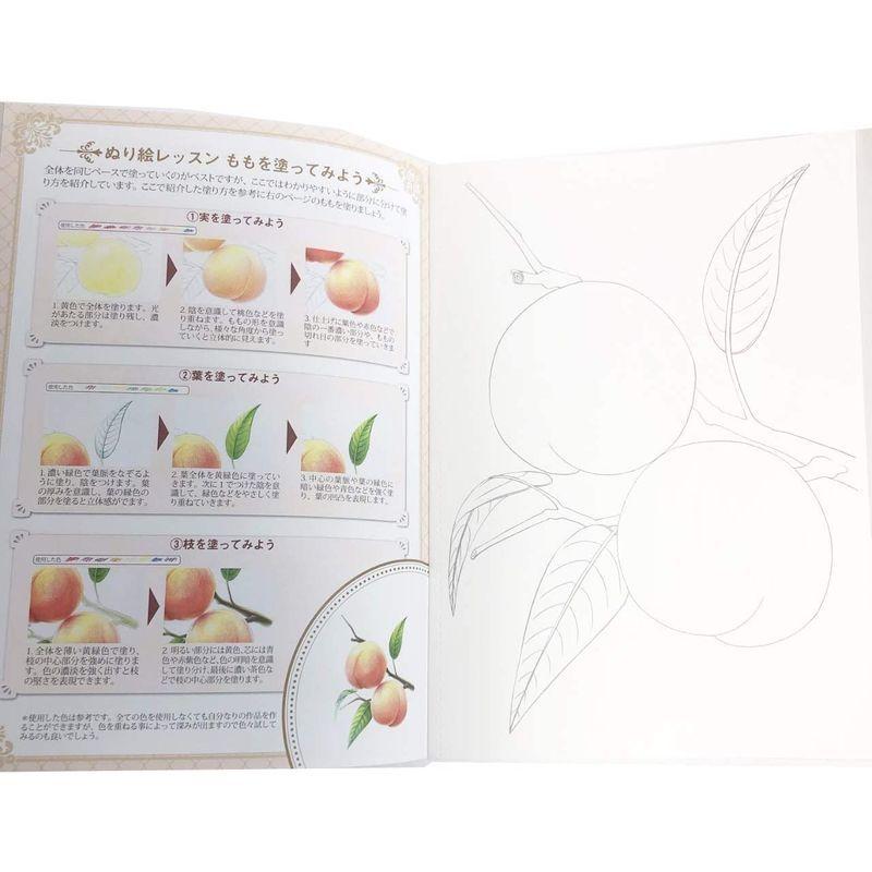 大人が楽しむぬり絵 花 果物 フラワーストーリー ２冊セット 塗り絵 ケーディーラインストア 通販 Yahoo ショッピング