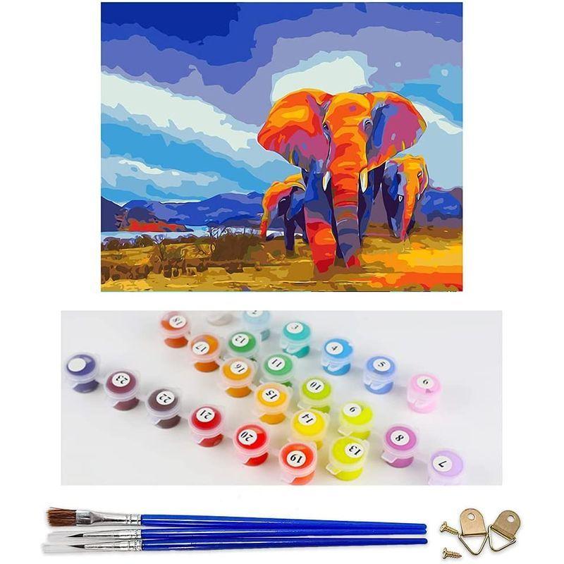 市場 Jishshay 数字塗り絵 手塗り デジタル油絵 花火 数字キット塗り絵 数字油絵