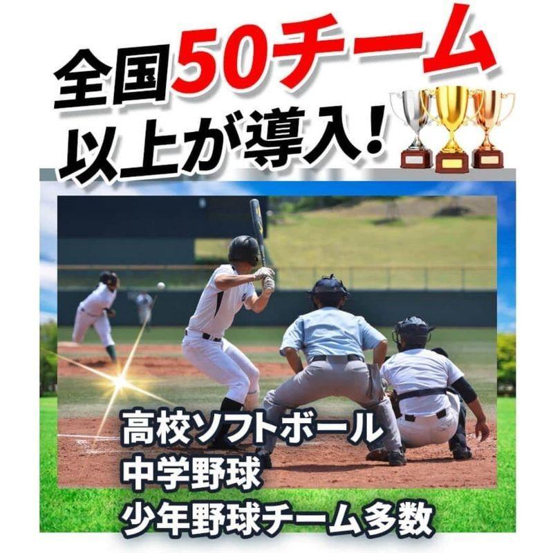 野球ネット 30秒設置 折り畳み式 防球ネット 専門メーカー Spornia バッティングネット スポーニア 自宅 グランド 練習 ティーバ バッティングネット