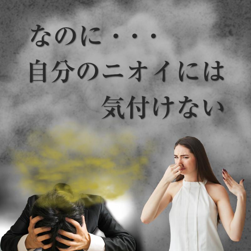 口臭 サプリ タブレット サプリメント 加齢臭 におい ケア 150倍濃縮シャンピニオン 柿渋 消臭 エチケット 対策 ６０粒入り ３０日分目安 | ブランド登録なし | 03