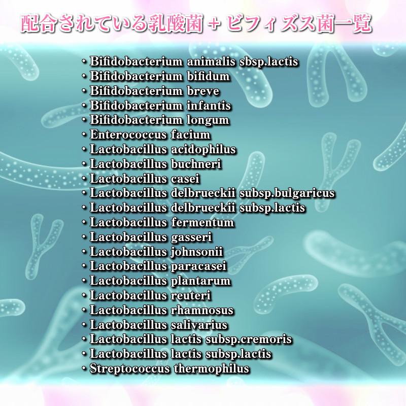ダイエット サプリ サプリメント 乳酸菌  口コミ 酢キャベツ 玉ねぎヨーグルト 食品 菌活 ビフィズス菌 60粒 30日分 | ブランド登録なし | 10