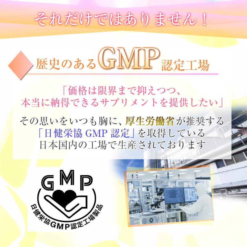 ダイエット サプリ サプリメント 乳酸菌  口コミ 酢キャベツ 玉ねぎヨーグルト 食品 菌活 ビフィズス菌 60粒 30日分 | ブランド登録なし | 13