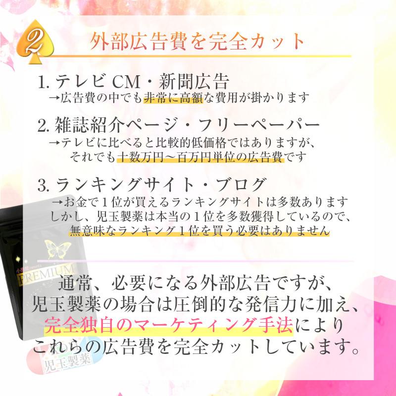 ダイエット 青汁 酵素 子供 人気 スピルリナ フルーツ青汁 果物仕立ての酵素青汁 ジュースクレンズ  ファスティング 30包入 30日分目安 | ブランド登録なし | 13