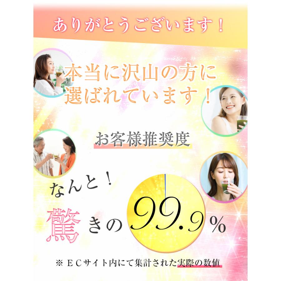 ダイエット 青汁 酵素 子供 人気 スピルリナ フルーツ青汁 果物仕立ての酵素青汁 ジュースクレンズ  ファスティング 30包入 30日分目安 | ブランド登録なし | 03