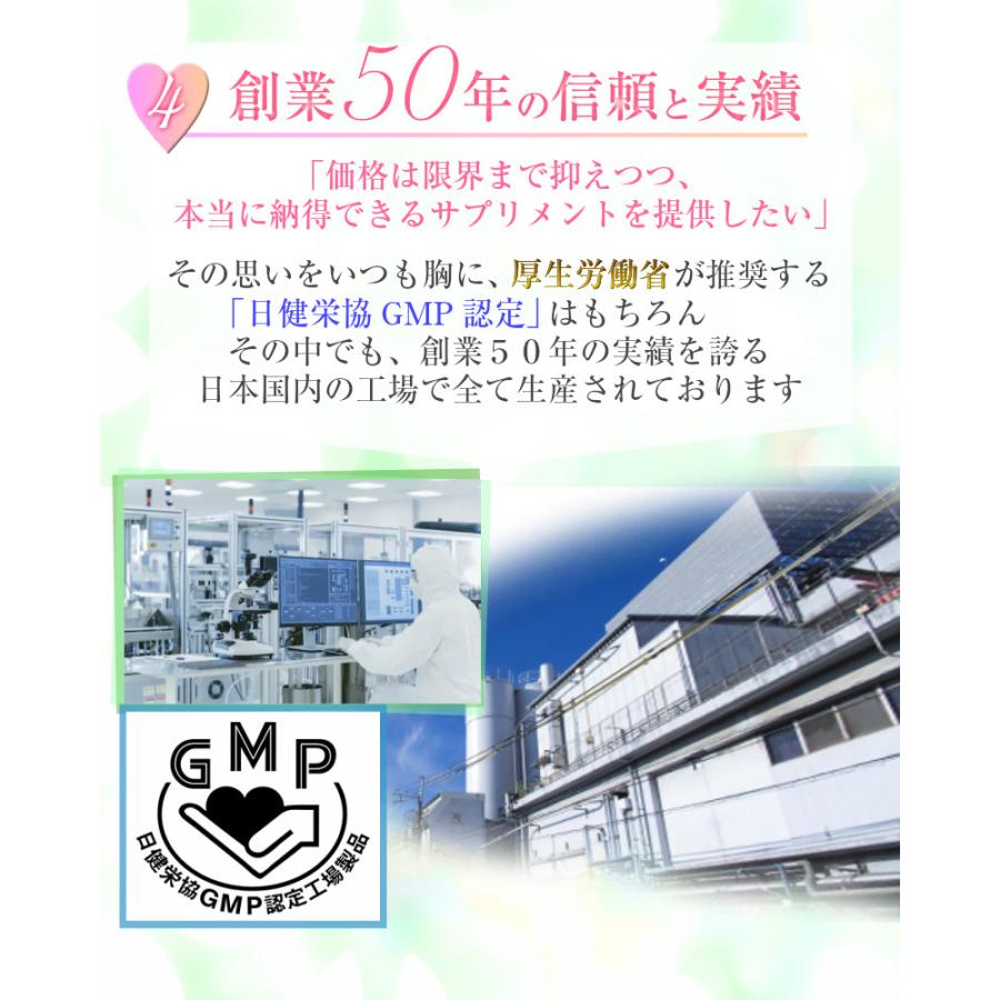 ダイエット 青汁 酵素 子供 人気 スピルリナ フルーツ青汁 果物仕立ての酵素青汁 ジュースクレンズ  ファスティング 30包入 30日分目安 | ブランド登録なし | 09