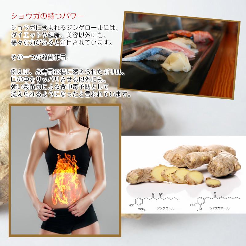 共役リノール酸 CLA サプリ サプリメント ショウガ 酵素 ダイエット ダイエットサプリ 口コミ 天使の雫 30粒 約30日分 | ブランド登録なし | 10