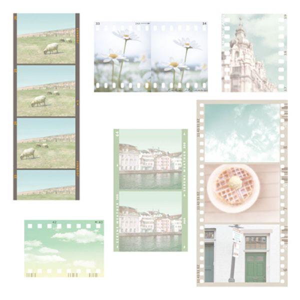 MOMENTS STICKER/モーメンツフレークステッカー green tone おしゃれ シール 81356 |  | 01