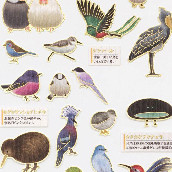 ビジュアルコレクション 大人の図鑑 シール 鳥 人気 コレクション