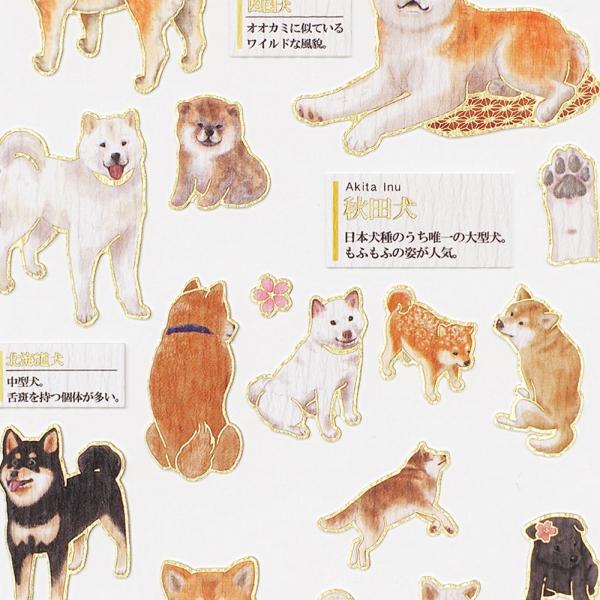 ぱっぴ カミ221733 【日本製】【大人の図鑑】シール【日本犬】【動物
