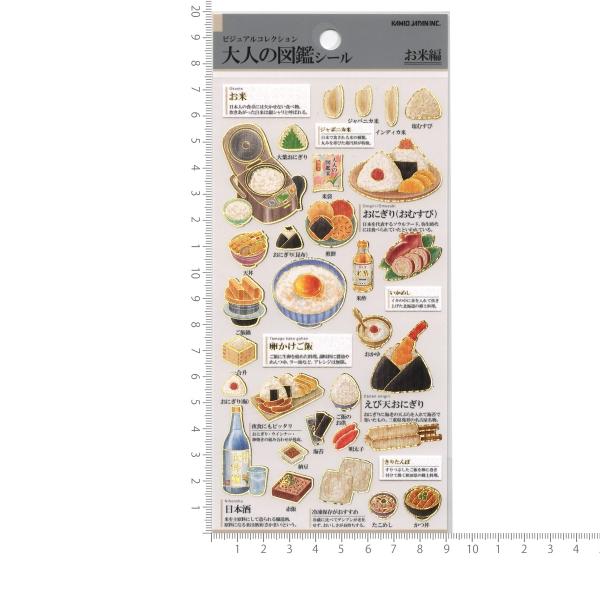 ビジュアルコレクション 大人の図鑑シール 歯 人気 224587 : 文具