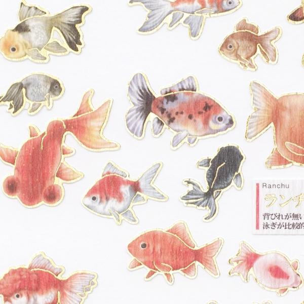 ビジュアルコレクション 大人の図鑑 シール 金魚 デコ 人気 収集