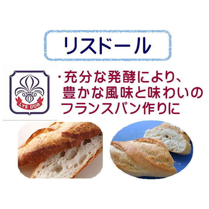 リスドール 10kg（1kg×10袋） 準強力粉 リスドォル 日清製粉 / フランスパン用粉 小麦粉 / フランスパン ホームベーカリー 送料無料 10キロ 【同梱不可】｜ke-thi-fuudo-rabo｜03