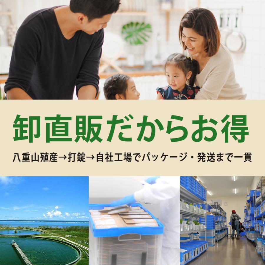 健康食品の原料屋 ヤエヤマ クロレラ 八重山クロレラ 無添加 100％ 粉末 石垣島産 約27日分 80g×1袋｜ke28｜06