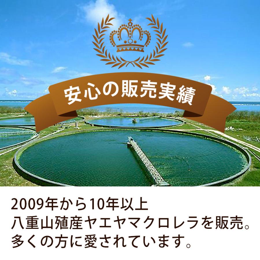 健康食品の原料屋 ヤエヤマ クロレラ 八重山クロレラ 無添加 100％ 粉末 石垣島産 約9ヵ月分 80g×10袋｜ke28｜05