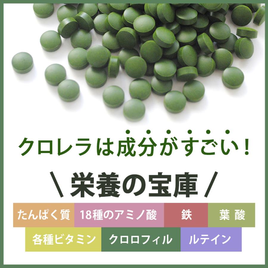 健康食品の原料屋 ヤエヤマ クロレラ 八重山クロレラ 粒 石垣島産 約30日分 60g(300粒×1袋)｜ke28｜03