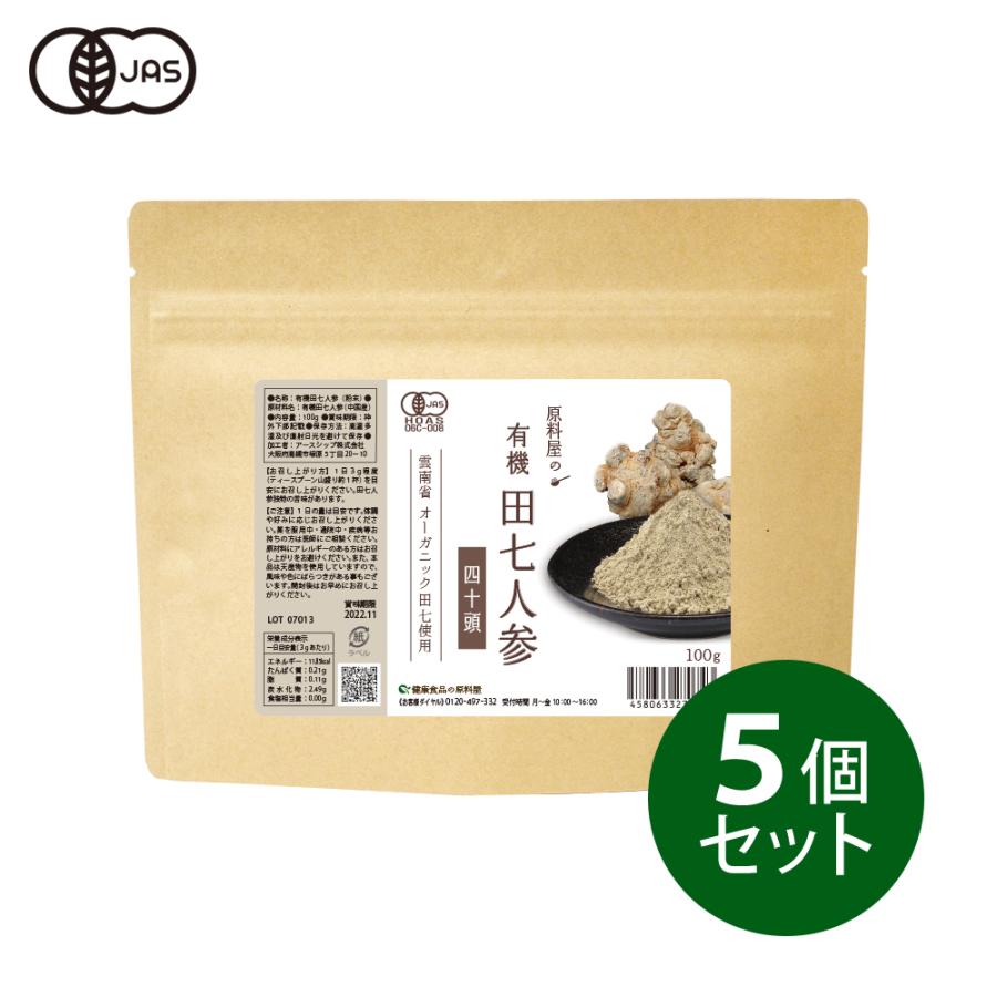 有機 オーガニック 田七人参 40頭サイズ [ 約5ヵ月分 100g×5袋 ] 高麗人参の10倍以上の サポニン 粉末 サプリ 三七人参