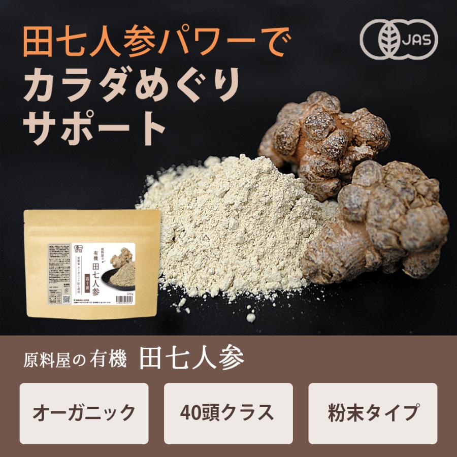 有機 オーガニック 田七人参 40頭サイズ [ 約5ヵ月分 100g×5袋 ] 高麗人参の10倍以上の サポニン 粉末 サプリ 三七人参_1