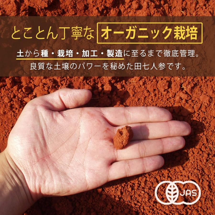 有機 オーガニック 田七人参 40頭サイズ [ 約5ヵ月分 100g×5袋 ] 高麗人参の10倍以上の サポニン 粉末 サプリ 三七人参_3