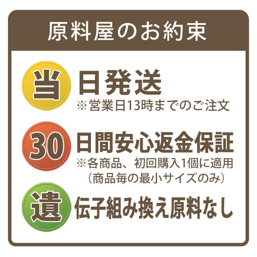 有機 オーガニック 田七人参 40頭サイズ [ 約5ヵ月分 100g×5袋 ] 高麗人参の10倍以上の サポニン 粉末 サプリ 三七人参_6