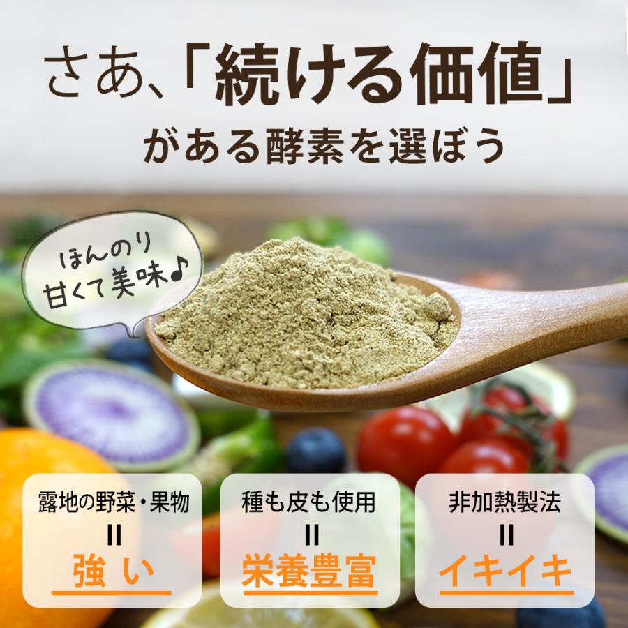 薬糧酵素 405g 1本 植物発酵食品 酵素 植物生まれの酵素EX: 健康食品